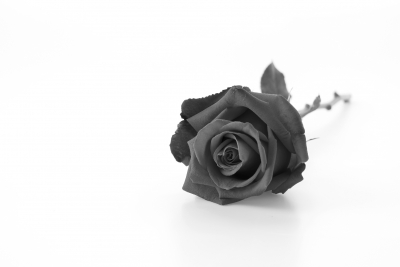 Vyjadrujeme úprimnú ľútosť nad stratou našej kolegyne