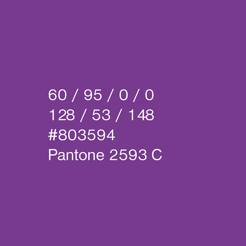 Logo colors of the Faculty of Economic Informatics