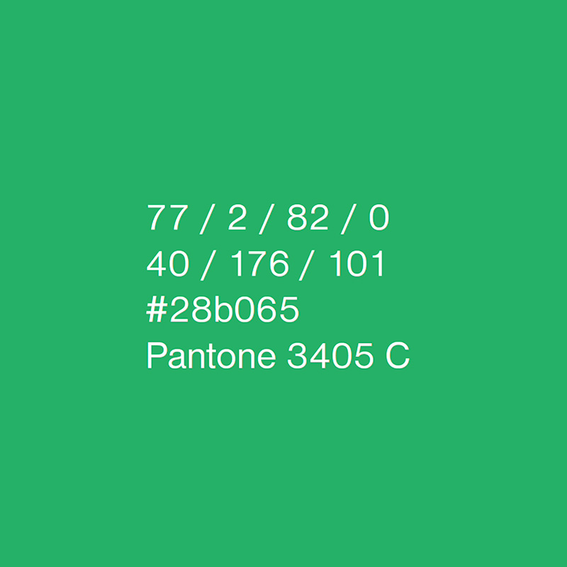 Logo colors of the Faculty of Business Management